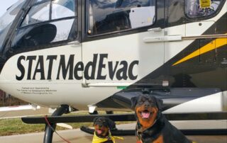 Support Dogs with Helicopter