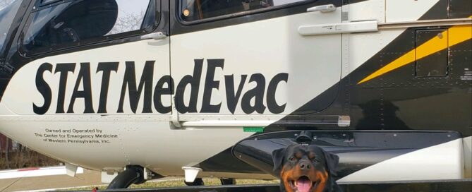 Support Dogs with Helicopter